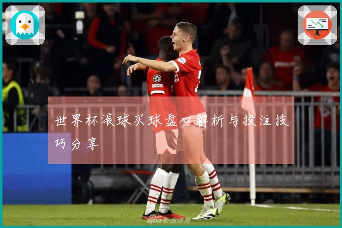 世界杯滚球买球盘口解析与投注技巧分享