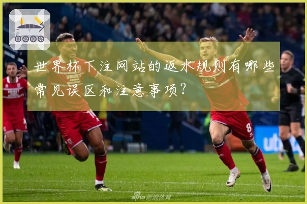世界杯下注网站的返水规则有哪些常见误区和注意事项？