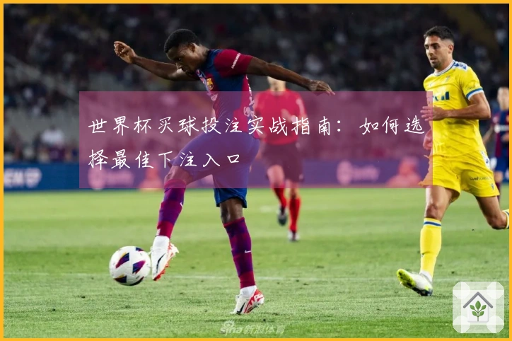 世界杯买球投注实战指南：如何选择最佳下注入口